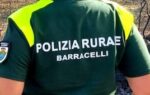 RIFORMA BARRACELLI "SARDEGNA NEWS - COSTA PARADISO NEWS", PROFILO ISTITUZIONALE DI PASQUALE FERRARA,"PASQUALE FERRARA", PROFILO ISTITUZIONALE DI PASQUALE FERRARA, SARDEGNA, TRINITÀ D'AGULTU E VIGNOLA, TRINITÀ D'AGULTU E VIGNOLA, VALLEDORIA, COSTA PARADISO, CASTELSARDO, BADESI, SANTA TERESA DI GALLURA, AGLIENTU, SASSARI, SARDEGNA, COSTA ROSSA, COSTA SMERALDA, REGIONE SARDEGNA, "LA NUOVA SARDEGNA", "UNIONE SARDA","VIDEOLINA"