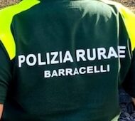 RIFORMA BARRACELLI "SARDEGNA NEWS - COSTA PARADISO NEWS", PROFILO ISTITUZIONALE DI PASQUALE FERRARA,"PASQUALE FERRARA", PROFILO ISTITUZIONALE DI PASQUALE FERRARA, SARDEGNA, TRINITÀ D'AGULTU E VIGNOLA, TRINITÀ D'AGULTU E VIGNOLA, VALLEDORIA, COSTA PARADISO, CASTELSARDO, BADESI, SANTA TERESA DI GALLURA, AGLIENTU, SASSARI, SARDEGNA, COSTA ROSSA, COSTA SMERALDA, REGIONE SARDEGNA, "LA NUOVA SARDEGNA", "UNIONE SARDA","VIDEOLINA"