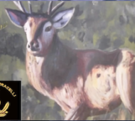 "SARDEGNA NEWS - COSTA PARADISO NEWS", PROFILO ISTITUZIONALE DI PASQUALE FERRARA,"PASQUALE FERRARA", PROFILO ISTITUZIONALE DI PASQUALE FERRARA, SARDEGNA, TRINITÀ D'AGULTU E VIGNOLA, TRINITÀ D'AGULTU E VIGNOLA, VALLEDORIA, COSTA PARADISO, CASTELSARDO, BADESI, SANTA TERESA DI GALLURA, AGLIENTU, SASSARI, SARDEGNA, COSTA ROSSA, COSTA SMERALDA, REGIONE SARDEGNA, "LA NUOVA SARDEGNA", "UNIONE SARDA","VIDEOLINA"